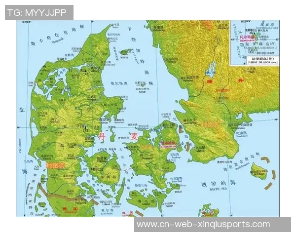 丹麦与瑞典的足球对决历史与未来展望分析